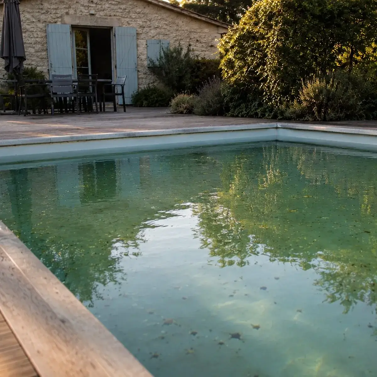 Piscine eau verte avant traitement — réouverture annuelle