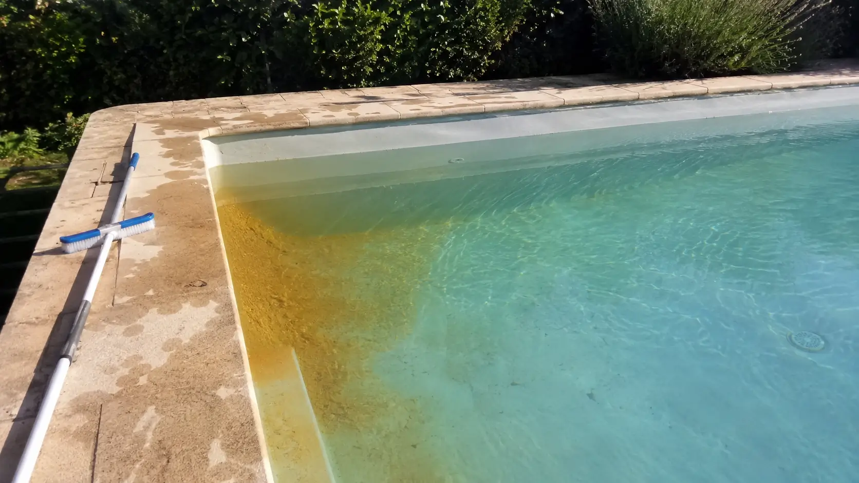 Dépôt jaune d'algue moutarde au fond d'une piscine, test du balai pour la reconnaître