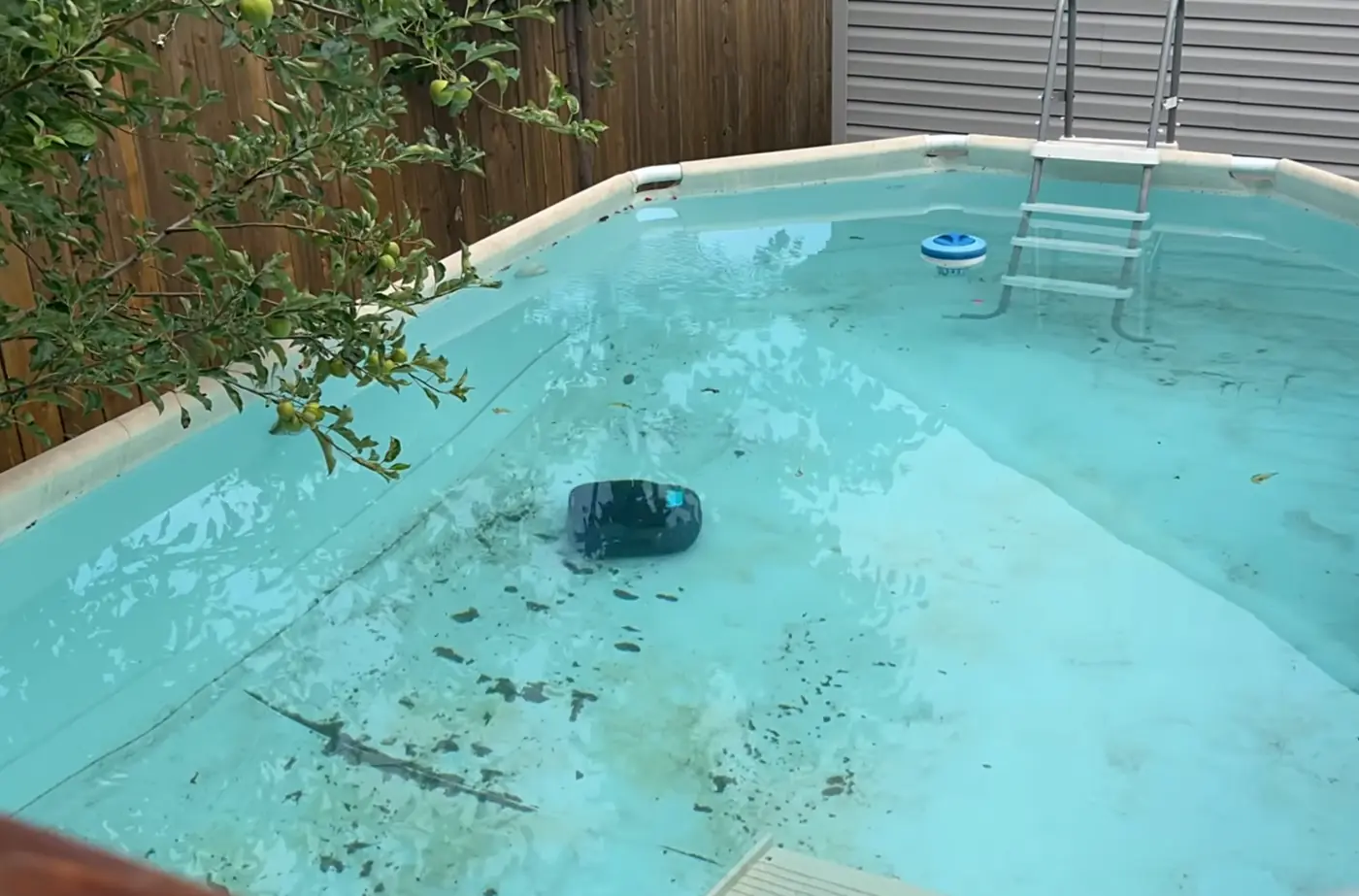 L'Aiper Scuba SE nettoie le fond d'une piscine hors-sol encore chargée de débris