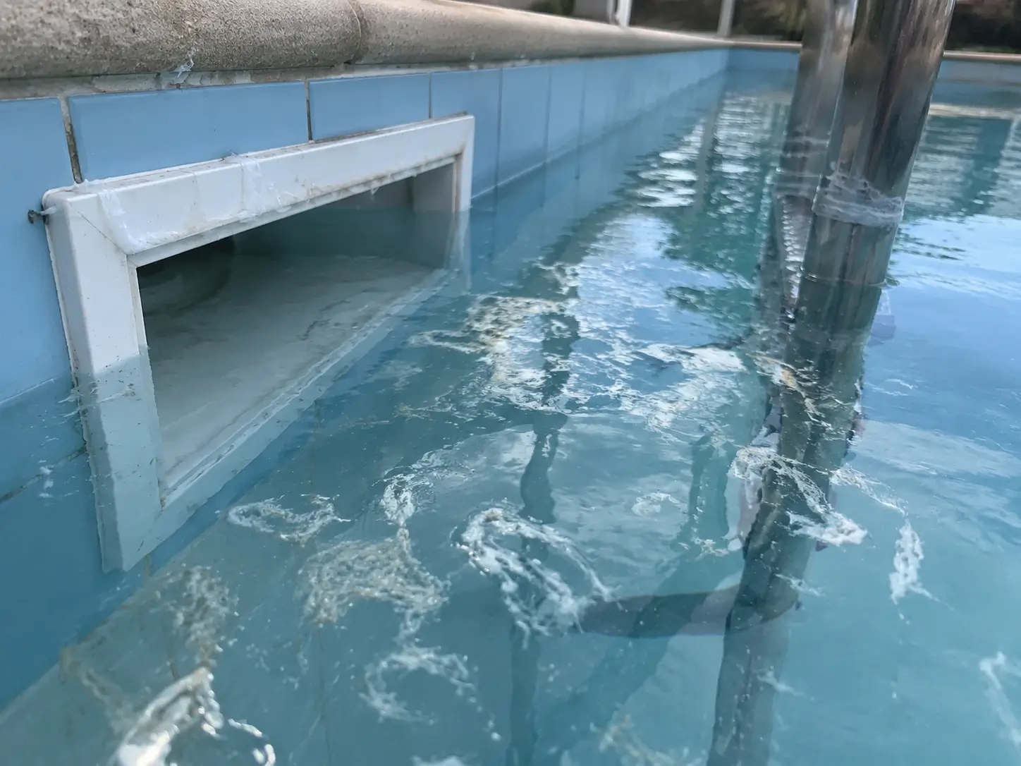 Filaments blancs d'algues flottant à la surface d'une piscine près du skimmer