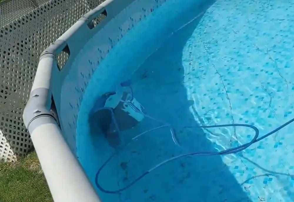 Robot Dolphin S100 plaqué sur la paroi d'une piscine en train de grimper, arrêté nettement sous la ligne d'eau
