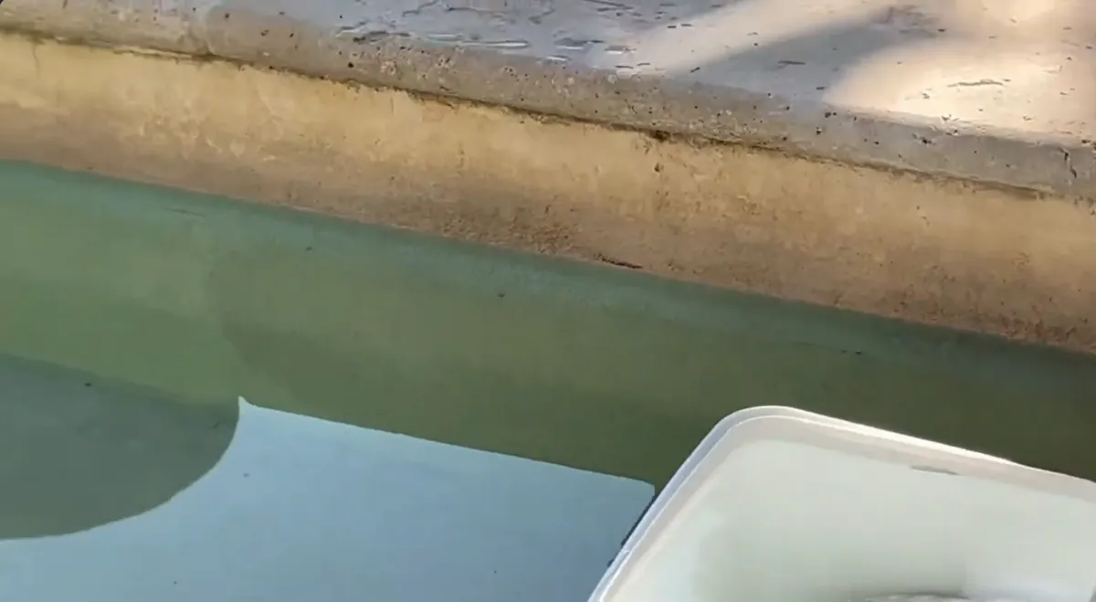 Niveau d'eau d'une piscine descendu sous la margelle, avec une trace sur la paroi