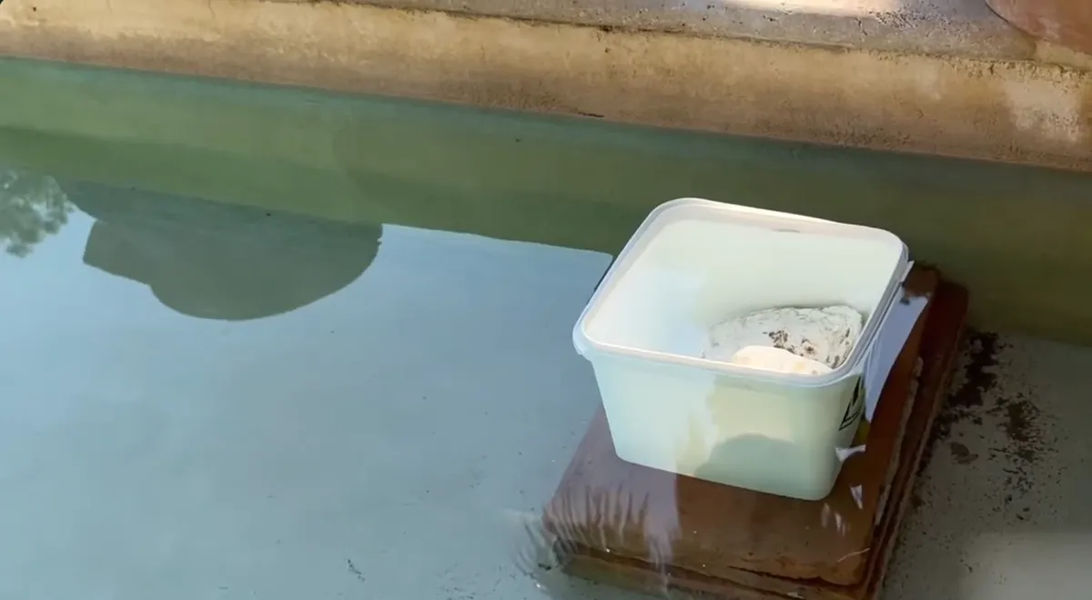 Bac d'eau lesté posé sur une marche immergée de piscine pour comparer les niveaux